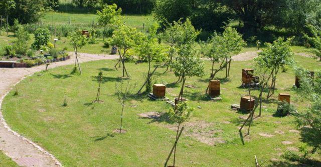 Landhotel Zum Honigdieb Ribnitz-Damgarten Exteriör bild
