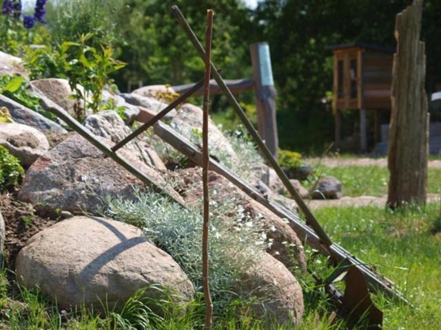 Landhotel Zum Honigdieb Ribnitz-Damgarten Exteriör bild